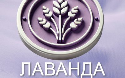 Новини нашого сайта
